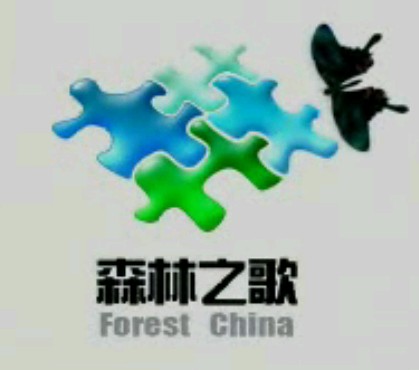 森林之歌10竹语随风